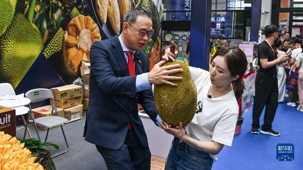 夺宝活动下载